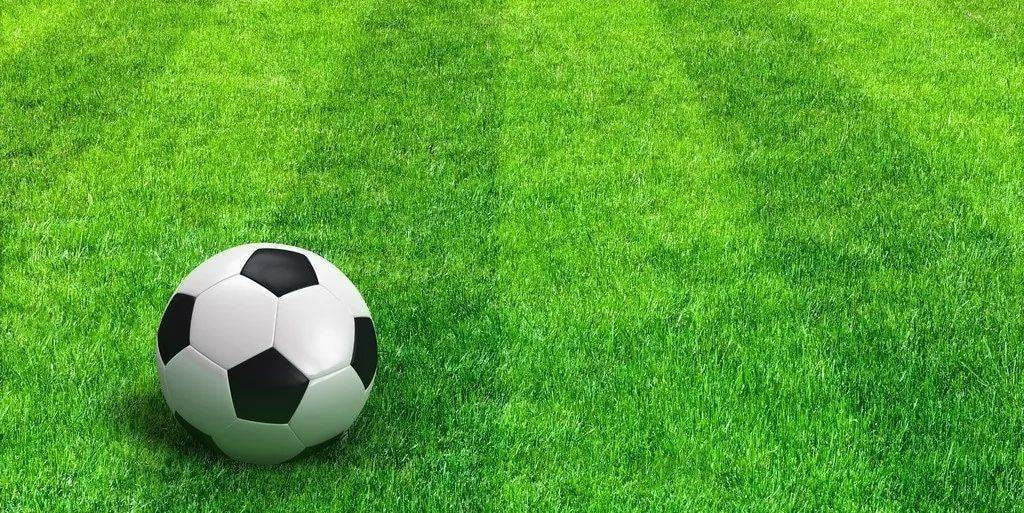 篮球比分怎么说平台展示